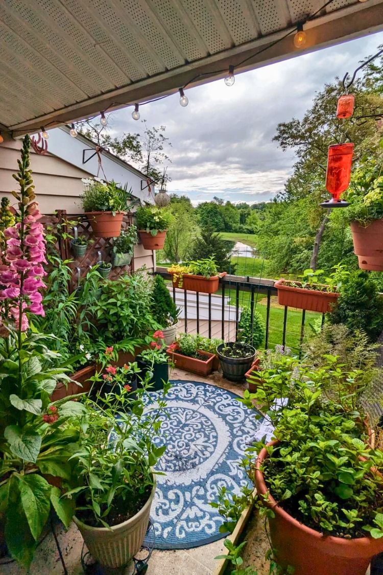Boho balcony with vibrant plants and patterned blue rug