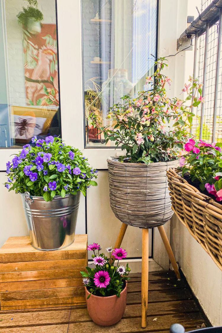 Chic boho balcony with floral decor and natural wood floor