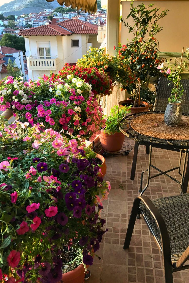 Cozy boho balcony with hanging flowers and metal chairs