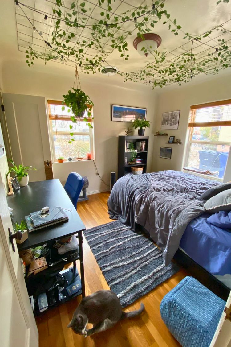 guy dorm room with ivy ceiling