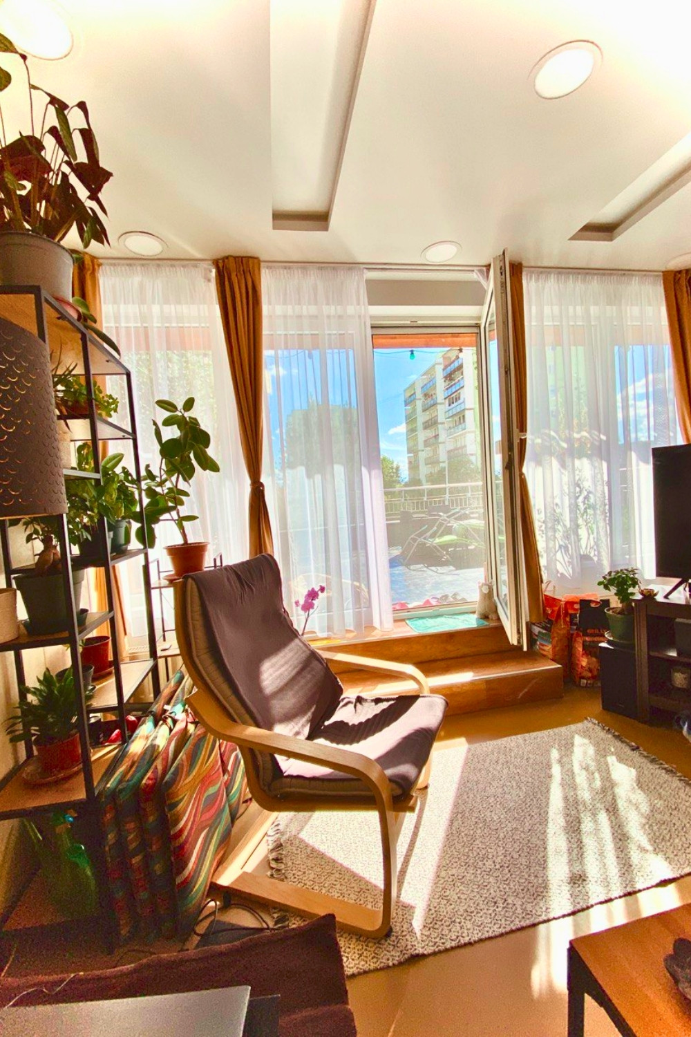 Cozy Sunlit Reading Spot with TV