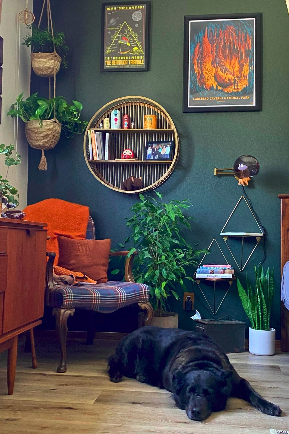 Moody Green Bedroom Reading Corner with Dog-Friendly Vibes