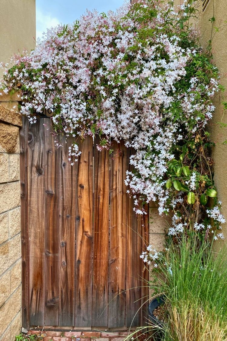 boho garden gate