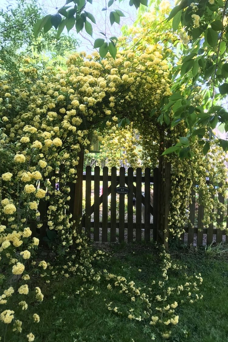 boho garden gate