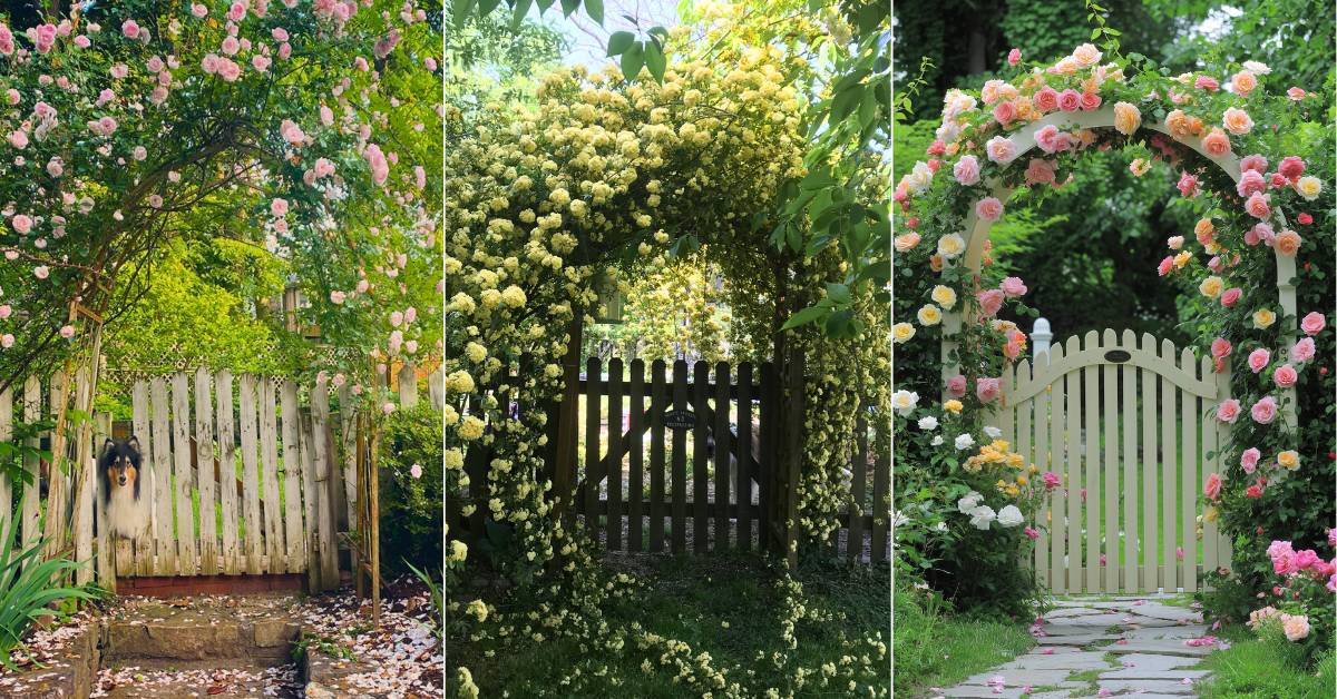 boho garden gate ideas