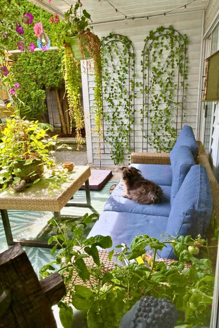 green small apartment patio