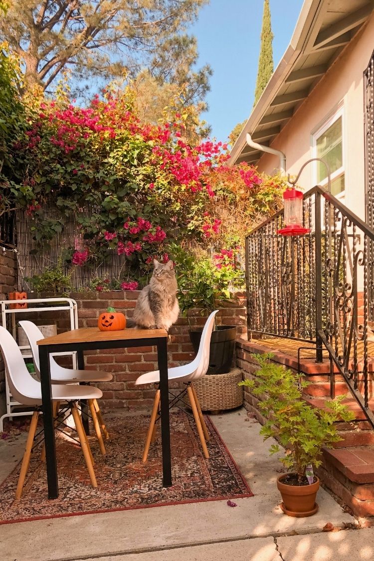 outdoor small apartment patio