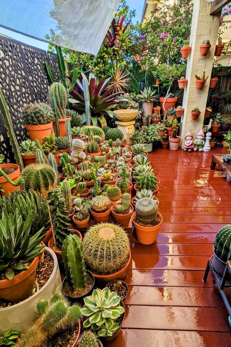 small apartment garden patio