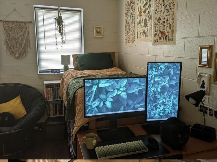 small girl dorm room