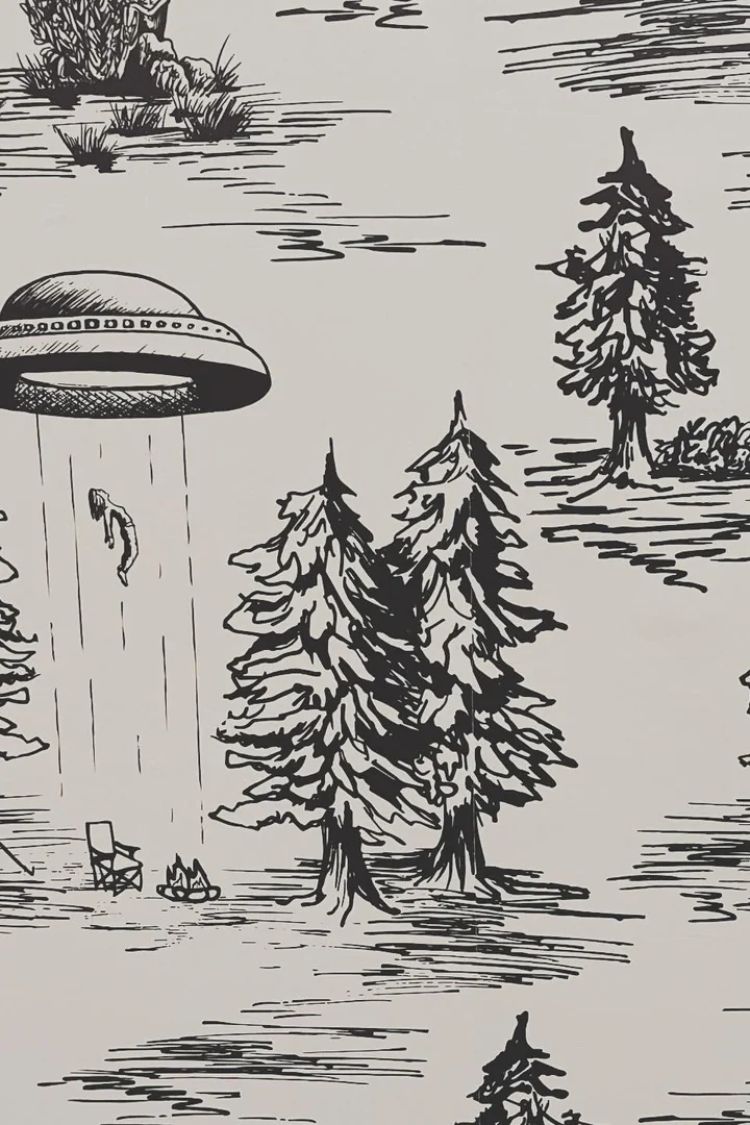 alien laundry room mural