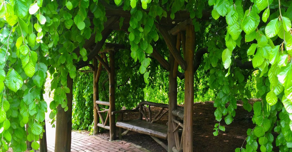 secret garden with hidden place