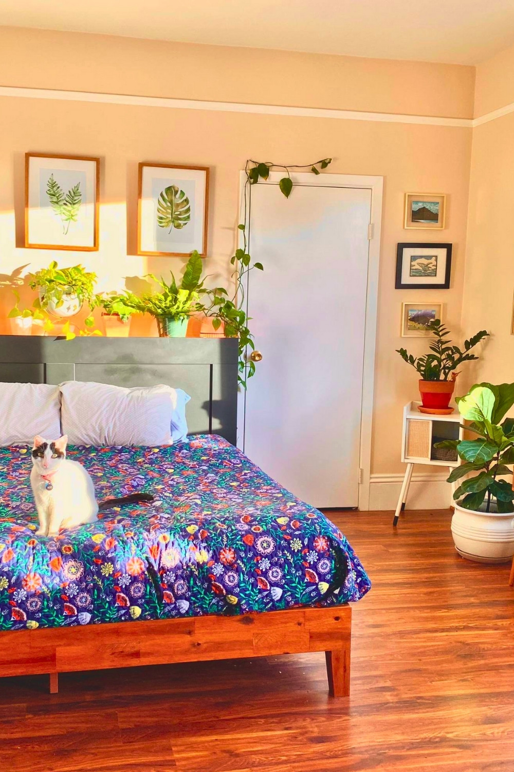 Bright Plant-Filled Winter Bedroom With Colorful Bedding And Cat