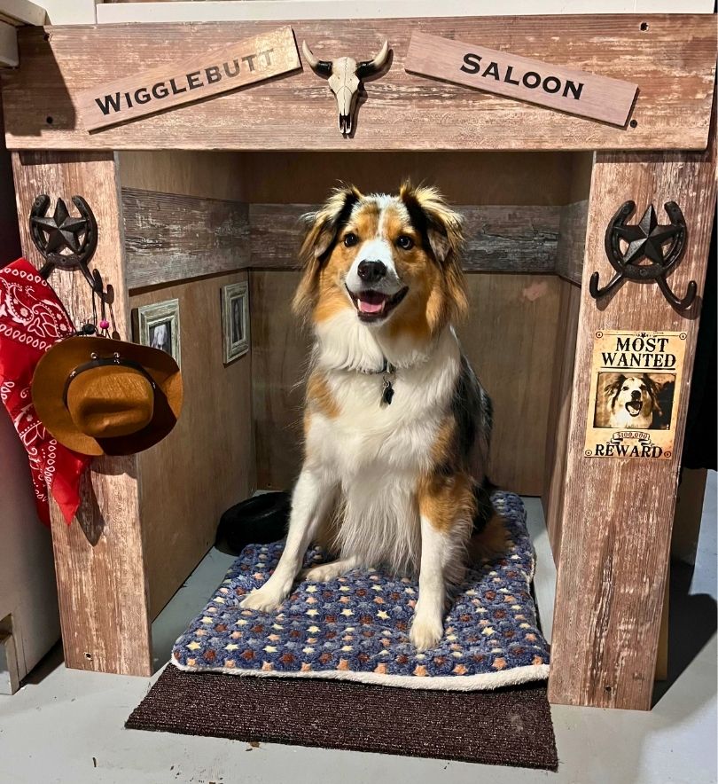 under stairs dog house