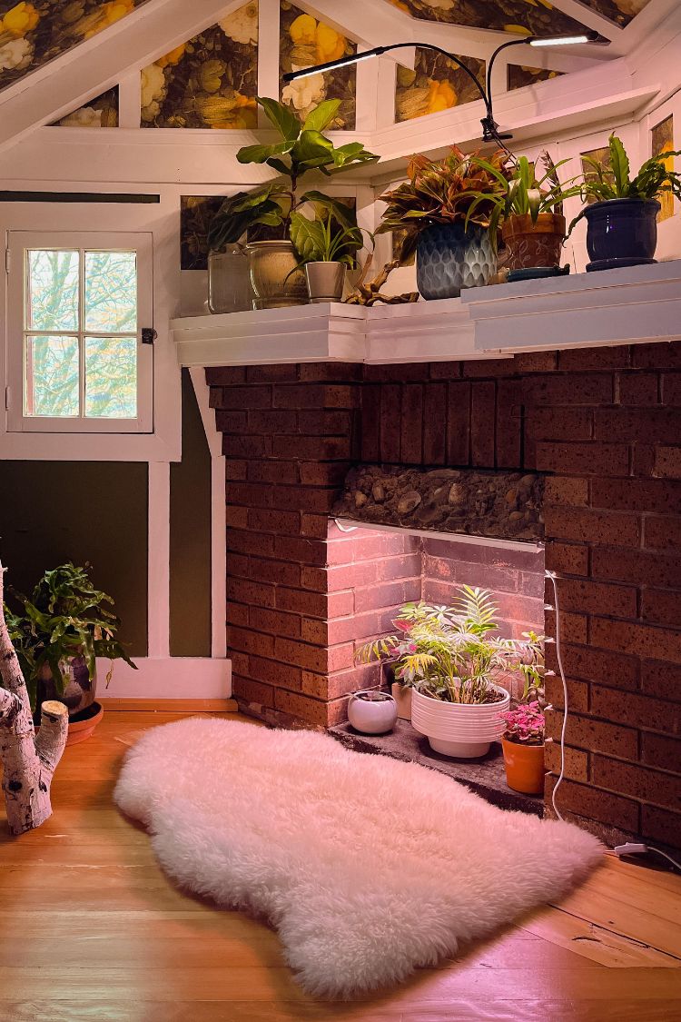 Fireplace turned into a pink-lit plant shelf with surrounding indoor greenery