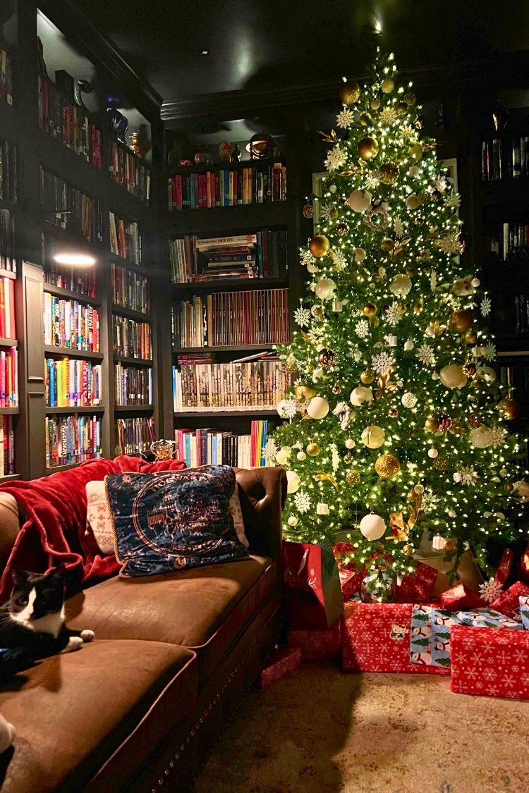 cozy home library