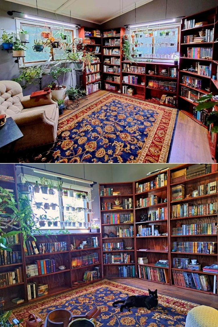 cozy home library by the window
