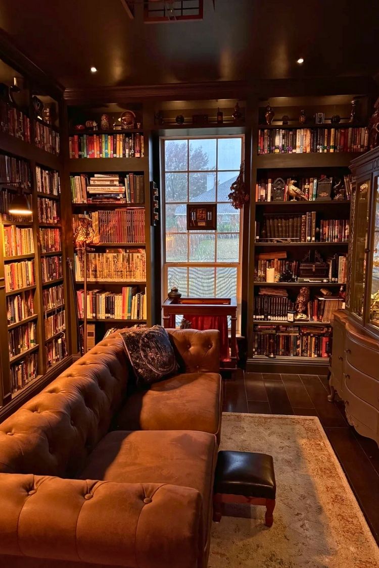 cozy home library by the window