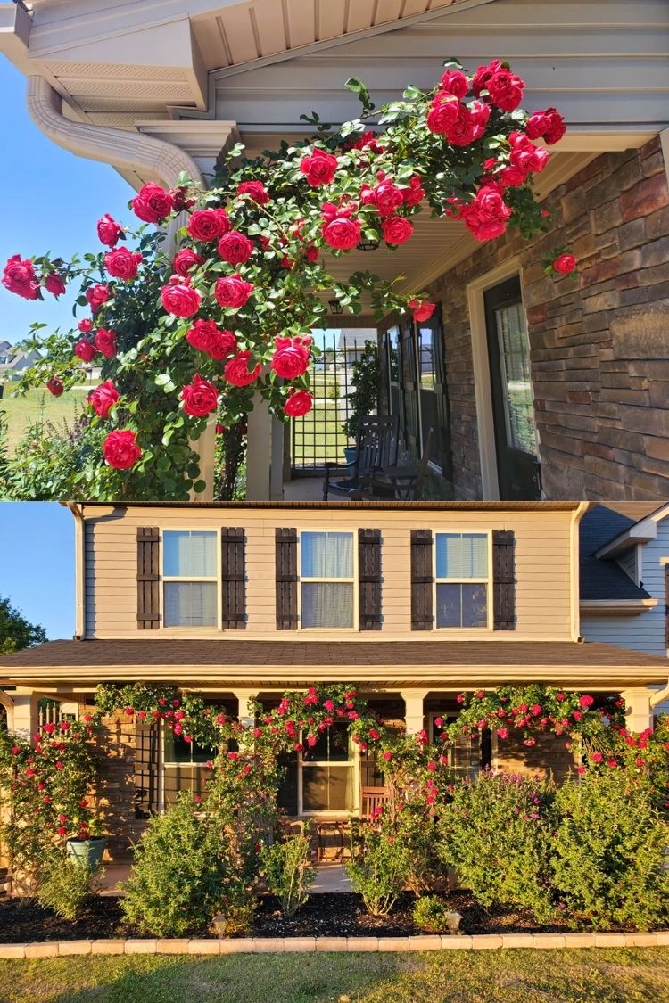 garden front porch