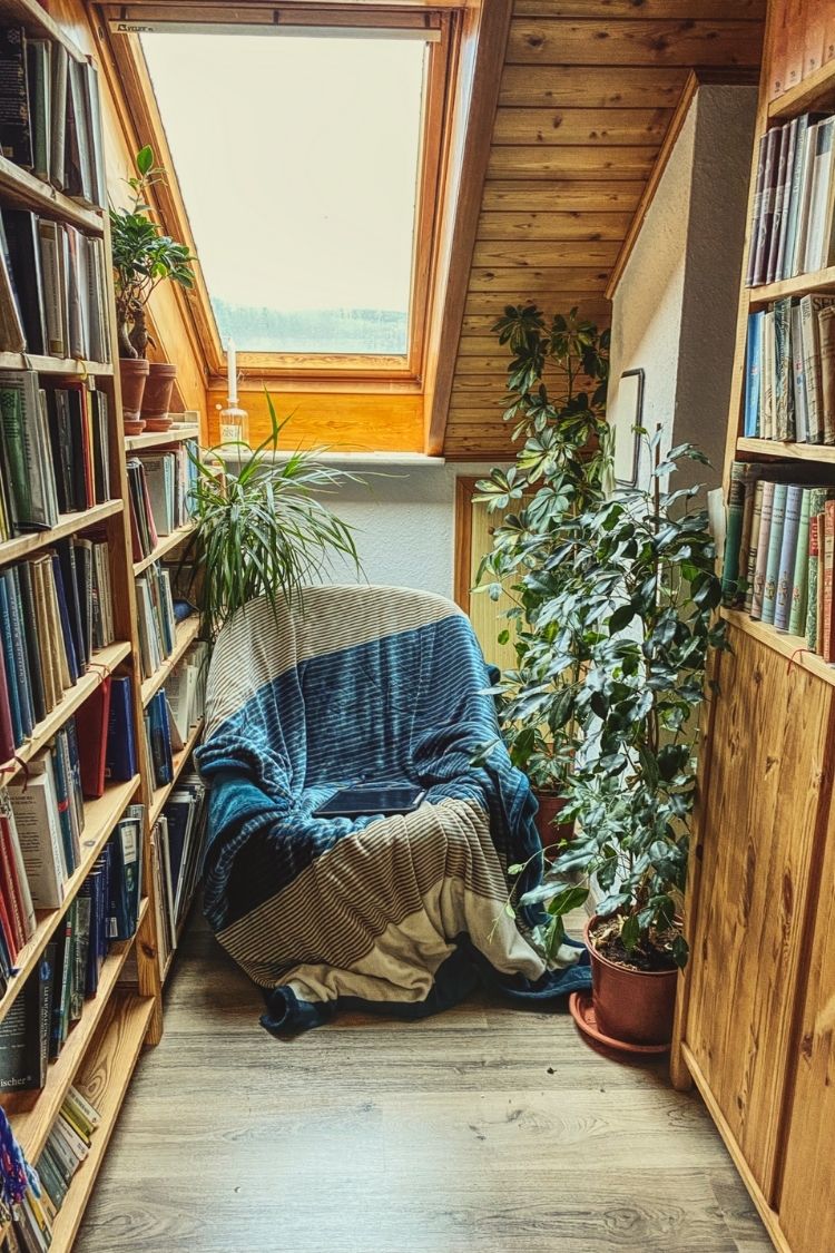 small cozy home library