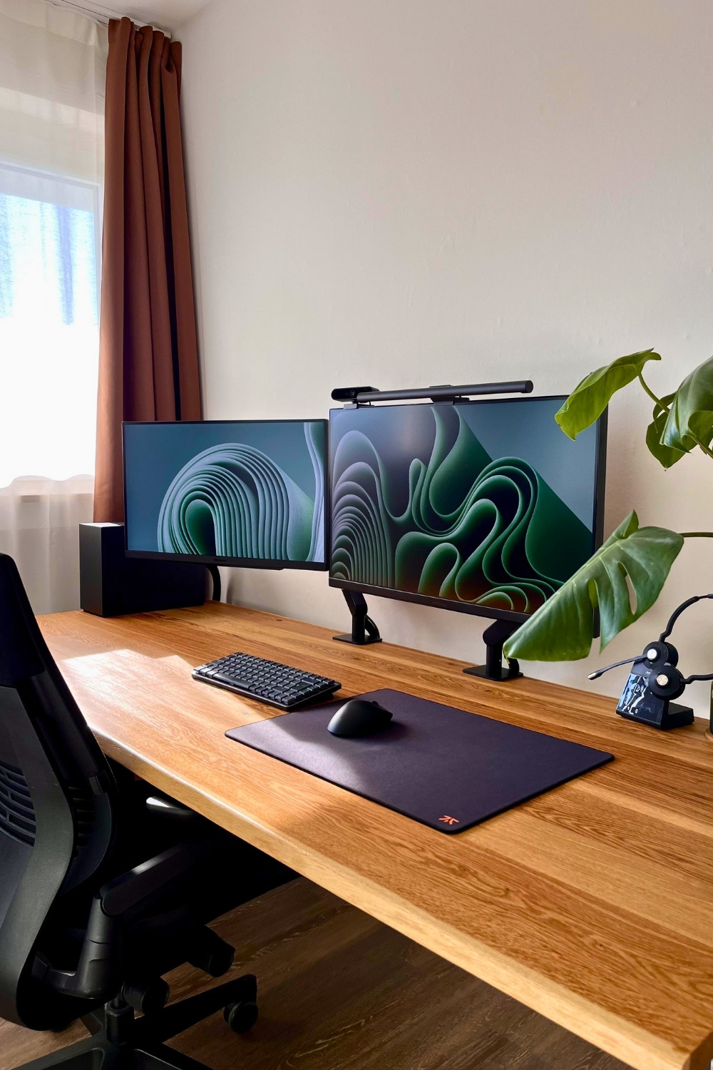 Dual Monitors on Wood Desk With Green Plant Vibes