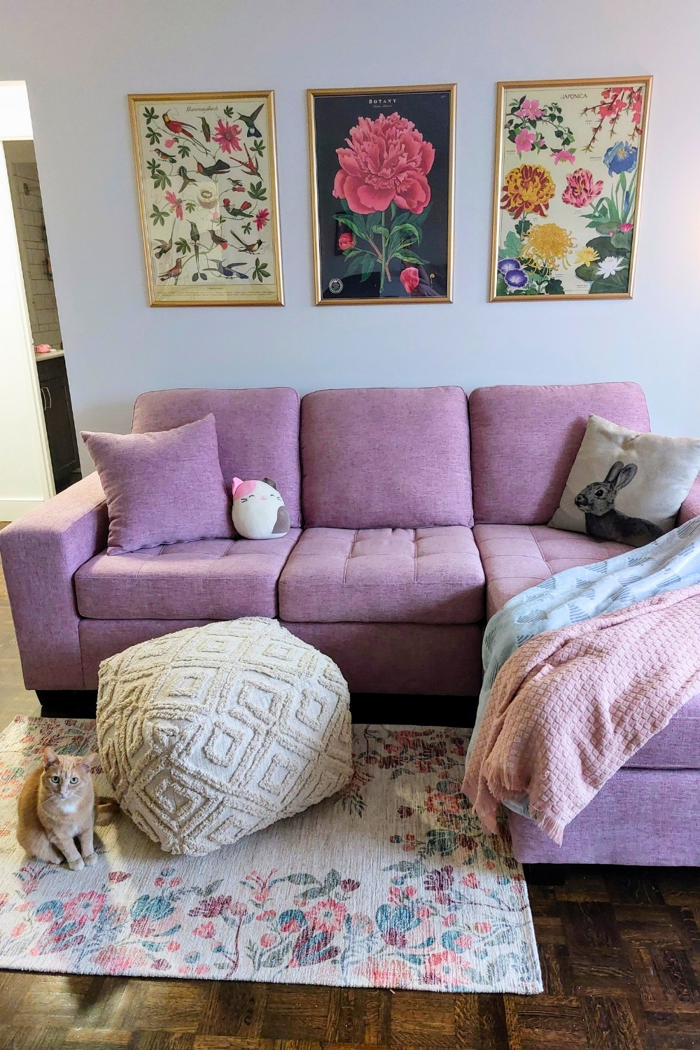 Mauve Pink Sofa Living Room with Feminine Botanical Wall Prints