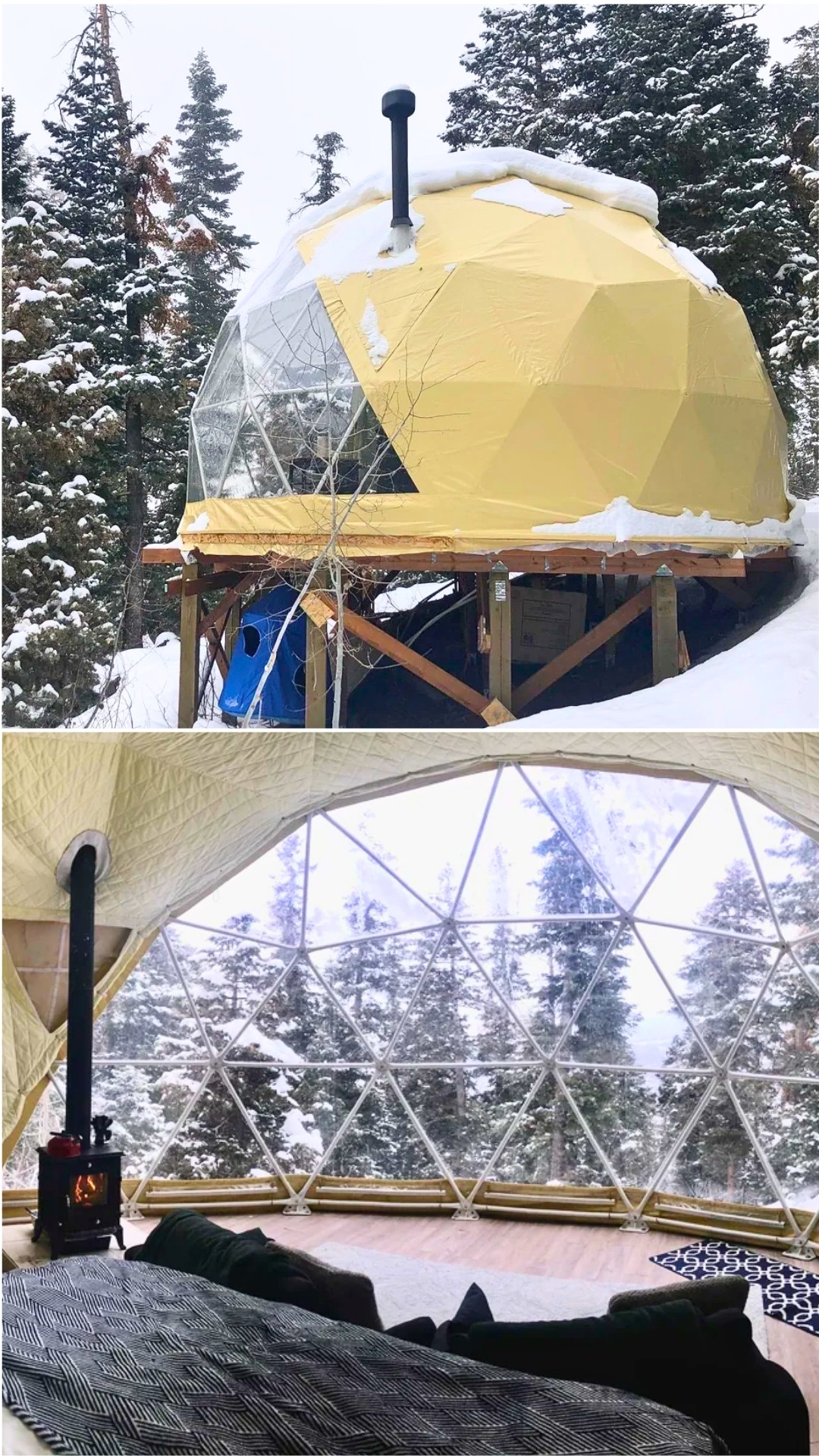 Off-Grid Dome Cabin With Forest View and Cozy One Room Design