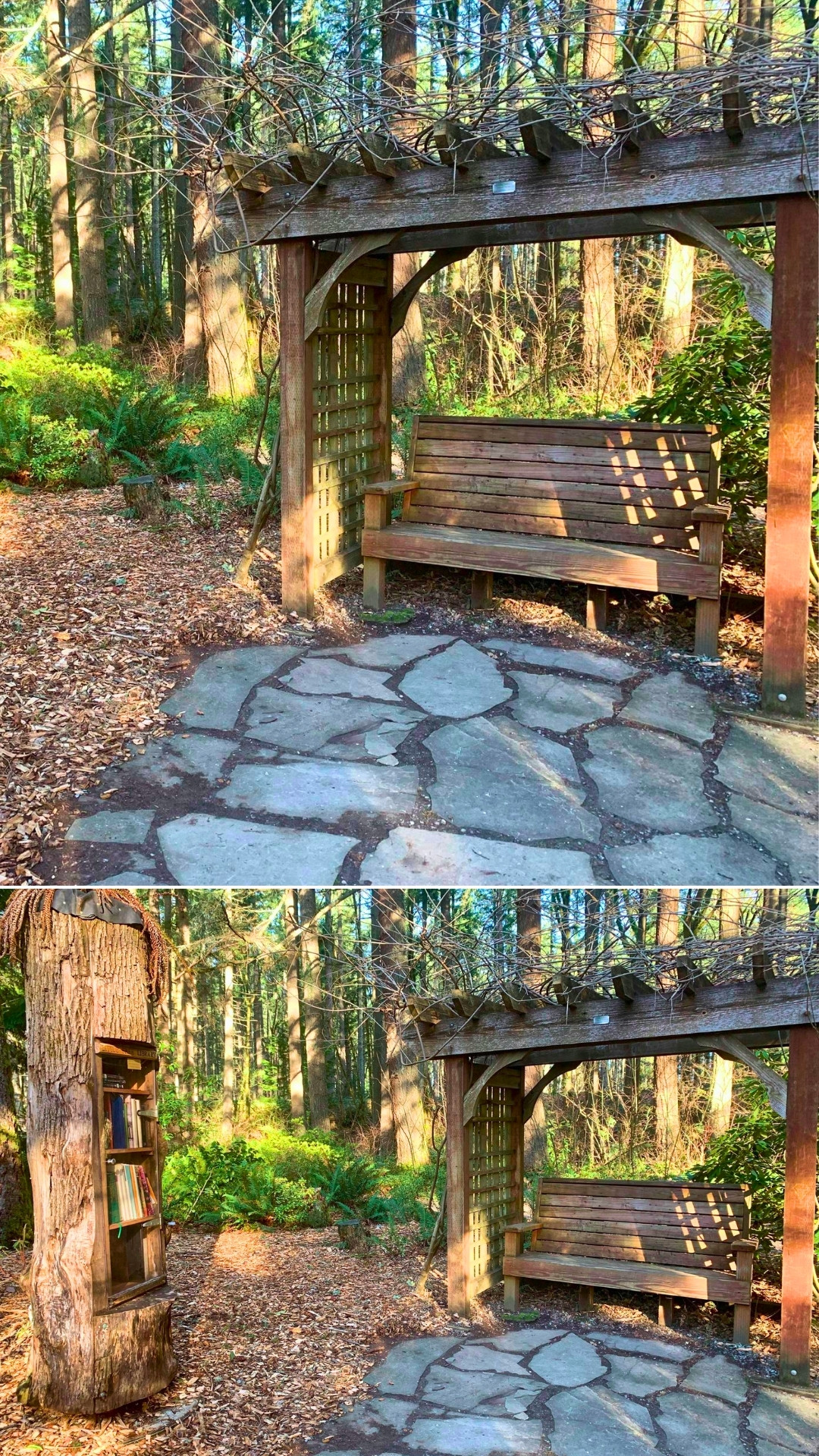 Whimsical Forest Reading Nook With Tree Library