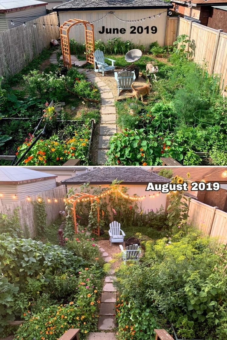 backyard makeover idea