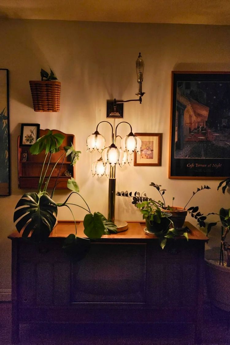 thrifted living room