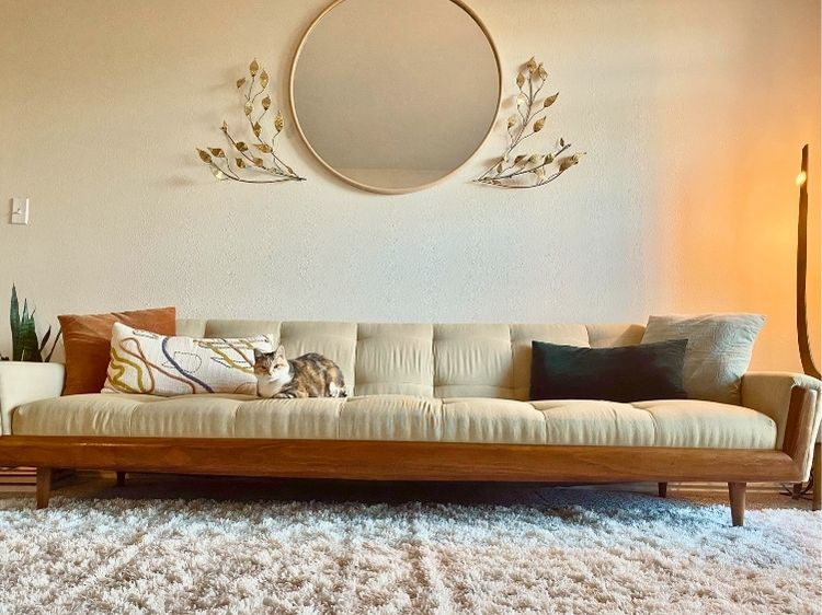 thrifted living room