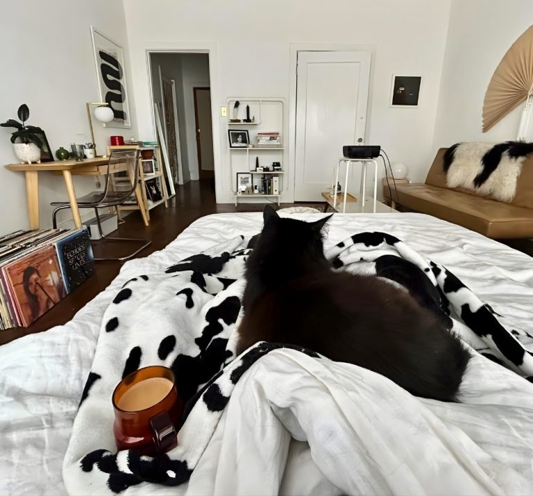 Cozy Small Studio Apartment Ideas That Prove Tiny Spaces Don’t Have To ...